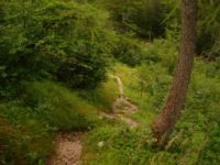 2014-08-02_06FritzPflaum-Steig (390).JPG
